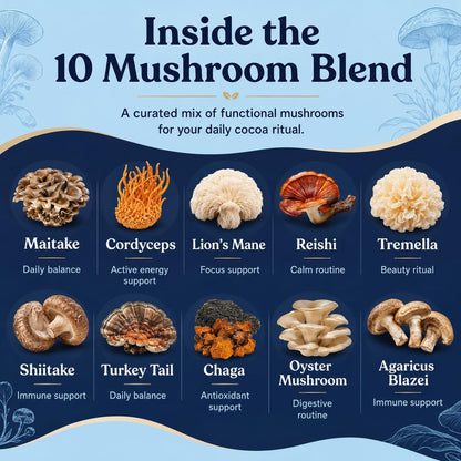 Suiyilary 10 Mushroom Hot Cocoa, 3mg Melatonin Sleep Supplement, Sugar Free Keto Cocoa Powder, Nighttime Drink, 1000mg Glycine, 200mg L-Theanine, Help Fall Asleep and Stay Asleep, 15 Servings