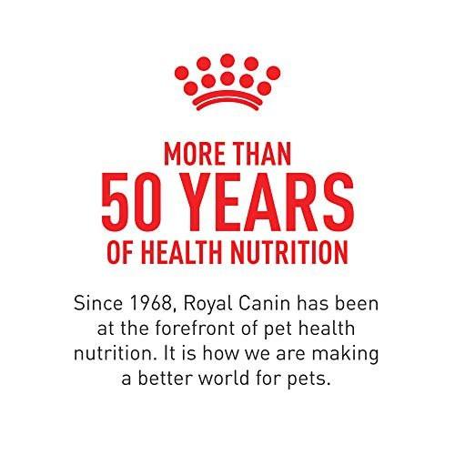 Royal Canin Skin & Coat Dog Supplement Soft Chews for Adult Dogs, 60 Count - görsel 18