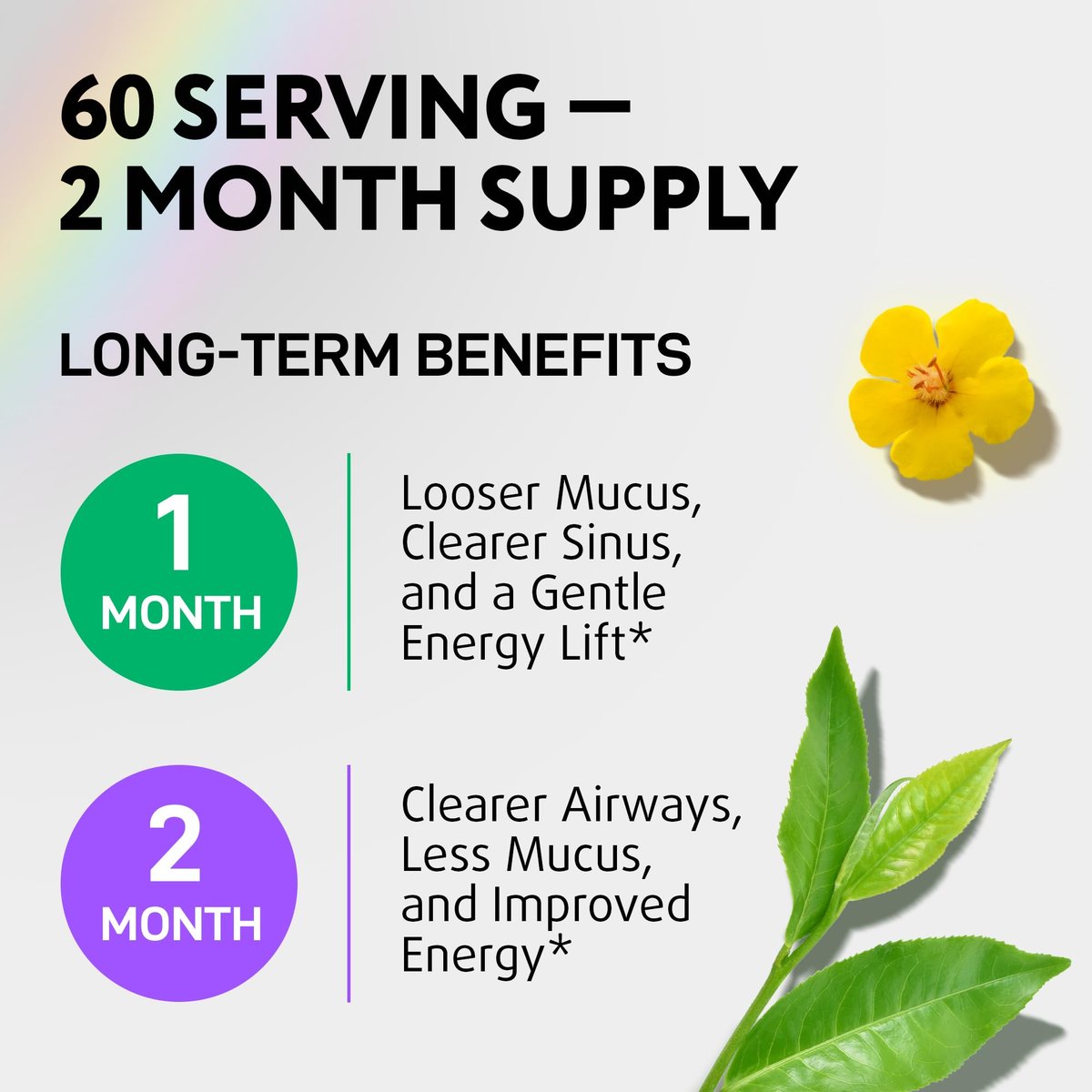 IQ BIOLOGY Mullein Drops for Lungs - USDA Organic Mullein Supplement with Arjuna - Made in USA - Lung Detox for Smokers, Bronchial Cleanse for Respiratory Support to Clear Lungs, Break Up Mucus, 2 oz - görsel 14