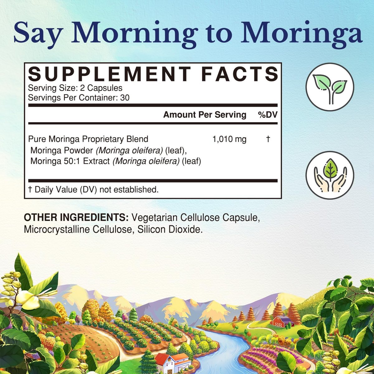 Vitalitown Moringa Capsules, Pure Moringa Oleifera Leaves, No Sticks, No Caffeine, Energy, Immune, 60 Capsules - görsel 3
