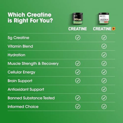 Optimum Nutrition Creatine Monohydrate Plus Powder, Strawberry Peach Flavored Creatine Performance Blend, with Electrolytes for Hydration, Added Vitamins, 40 Servings, 360 Grams