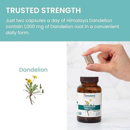 Himalaya Dandelion - Dandelion Root Supplement Supporting Daily Wellness and Health - Vegan, Gluten Free, 1000 mg, 60 Capsules
