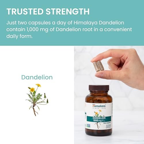 Himalaya Dandelion - Dandelion Root Supplement Supporting Daily Wellness and Health - Vegan, Gluten Free, 1000 mg, 60 Capsules - görsel 8