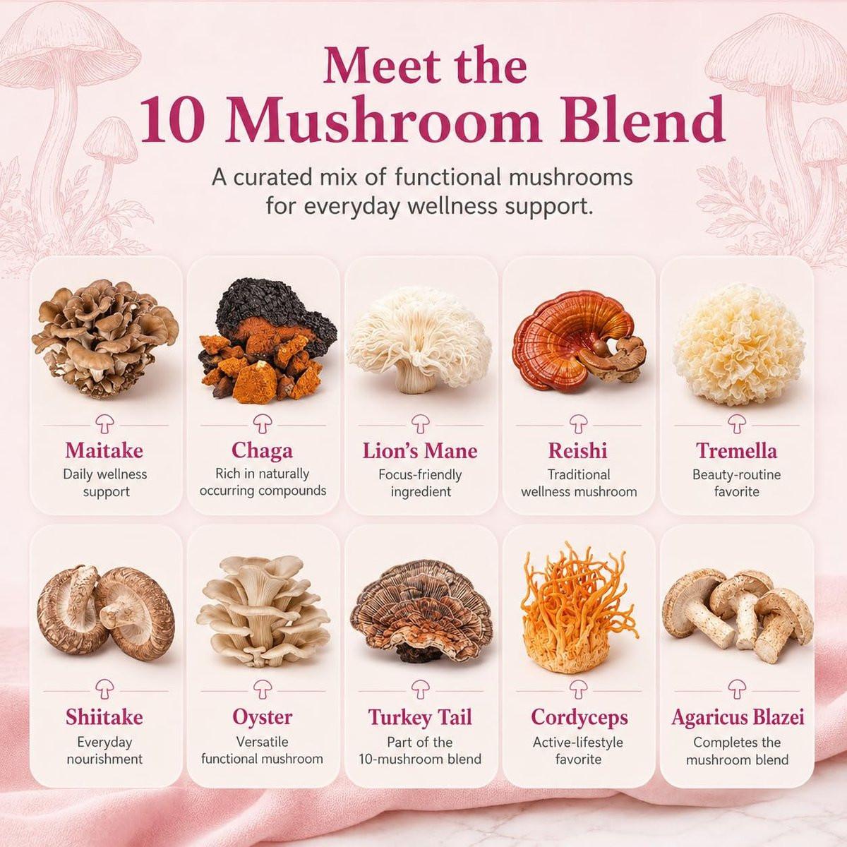 Suiyilary Mushroom Coffee with Collagen, 10 Mushroom Extract Powder Blend Lion's Mane, Brain Supplements with Instant Coffee for Energy, Focus, Skin and Immunity 150g 30 Serving - görsel 3