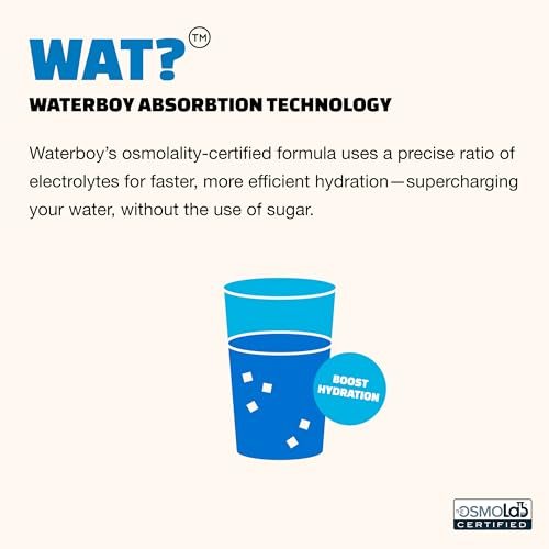 Waterboy Daily Hydration | 1,570mg – Health-conscious consumers avoiding artificial ingredients and calories. – Image 7