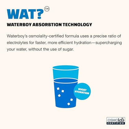 Waterboy Daily Hydration | 1,570mg – Health-conscious consumers avoiding artificial ingredients and calories. – Image 7