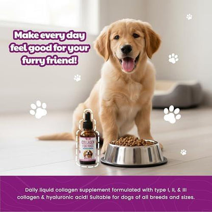 Premium Liquid Collagen for Dogs (120ml) Daily Collagen Dogs Supplement Drops with Types I, II & III & Hyaluronic Acid - Dog Supplement for Joints and Digestive Health - All Breeds & Sizes - USA Made
