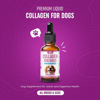 Premium Liquid Collagen for Dogs (120ml) Daily Collagen Dogs Supplement Drops with Types I, II & III & Hyaluronic Acid - Dog Supplement for Joints and Digestive Health - All Breeds & Sizes - USA Made
