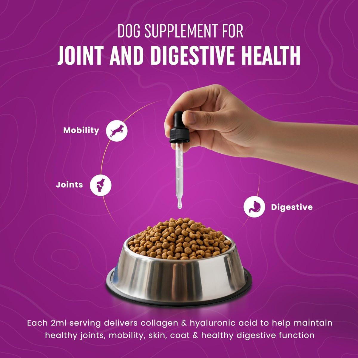 Premium Liquid Collagen for Dogs (120ml) Daily Collagen Dogs Supplement Drops with Types I, II & III & Hyaluronic Acid - Dog Supplement for Joints and Digestive Health - All Breeds & Sizes - USA Made - görsel 9