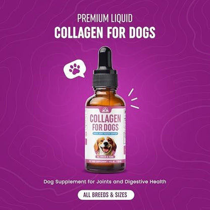 Premium Liquid Collagen for Dogs (120ml) Daily Collagen Dogs Supplement Drops with Types I, II & III & Hyaluronic Acid - Dog Supplement for Joints and Digestive Health - All Breeds & Sizes - USA Made