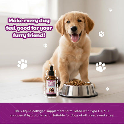 Premium Liquid Collagen for Dogs (120ml) Daily Collagen Dogs Supplement Drops with Types I, II & III & Hyaluronic Acid - Dog Supplement for Joints and Digestive Health - All Breeds & Sizes - USA Made