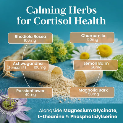 OmniCalm Cortisol Supplements for Women & Men | Cortisol Reducer & Manager with Sensoril Ashwagandha, Suntheanine L-Theanine, Magnesium Glycinate | Physician-Formulated 14-in-1 Stress Relief - USA