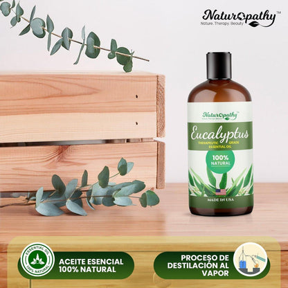 Naturopathy Eucalyptus Essential Oil, Therapeutic Grade, Premium Quality Perfect for Aromatherapy (16 fl oz)