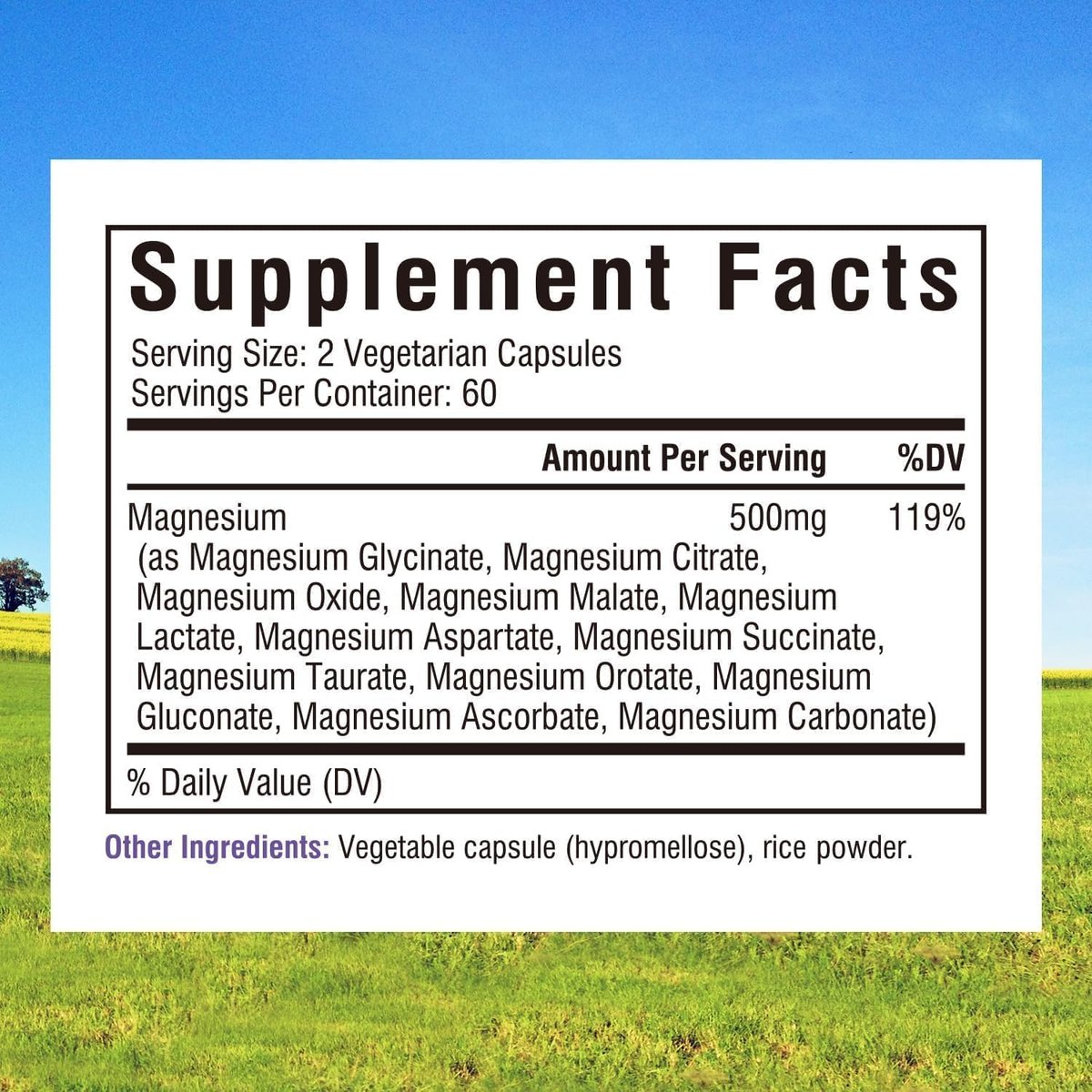 Innate Vitality 12-in-1 Magnesium Complex, 500 mg Elemental Mag, with Magnesium Glycinate Malate Taurate Aspartate & More, Non-GMO, for Nerves, Sleep, Heart, Energy, 120 Veg Caps - görsel 4
