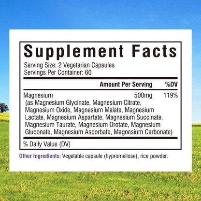 Innate Vitality 12-in-1 Magnesium Complex, 500 mg Elemental Mag, with Magnesium Glycinate Malate Taurate Aspartate & More, Non-GMO, for Nerves, Sleep, Heart, Energy, 120 Veg Caps