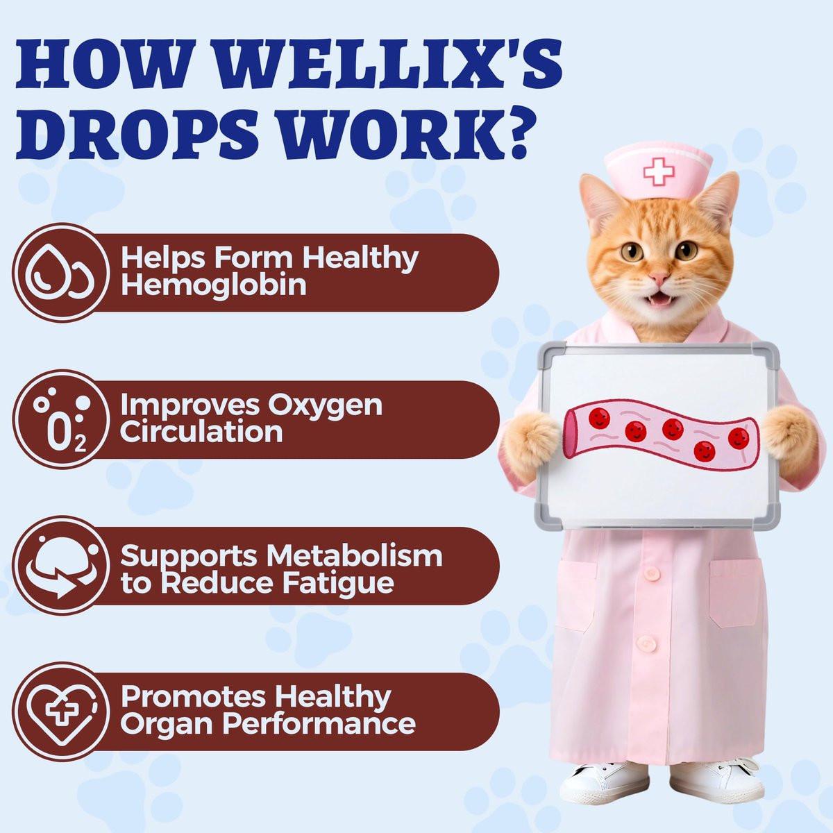 4oz Liquid Iron Supplement for Cats & Dogs - Vitamin B12 & C - Cat Anemia Supplements, Hemoglobin Support, Lethargy, Pregnant Cat & Dog Essentials, Kitten & Puppy Supplements - Large Volume - görsel 9