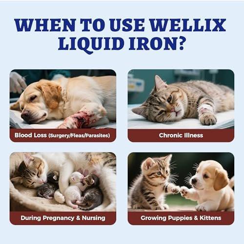 4oz Liquid Iron Supplement for Cats & Dogs - Vitamin B12 & C - Cat Anemia Supplements, Hemoglobin Support, Lethargy, Pregnant Cat & Dog Essentials, Kitten & Puppy Supplements - Large Volume - görsel 8