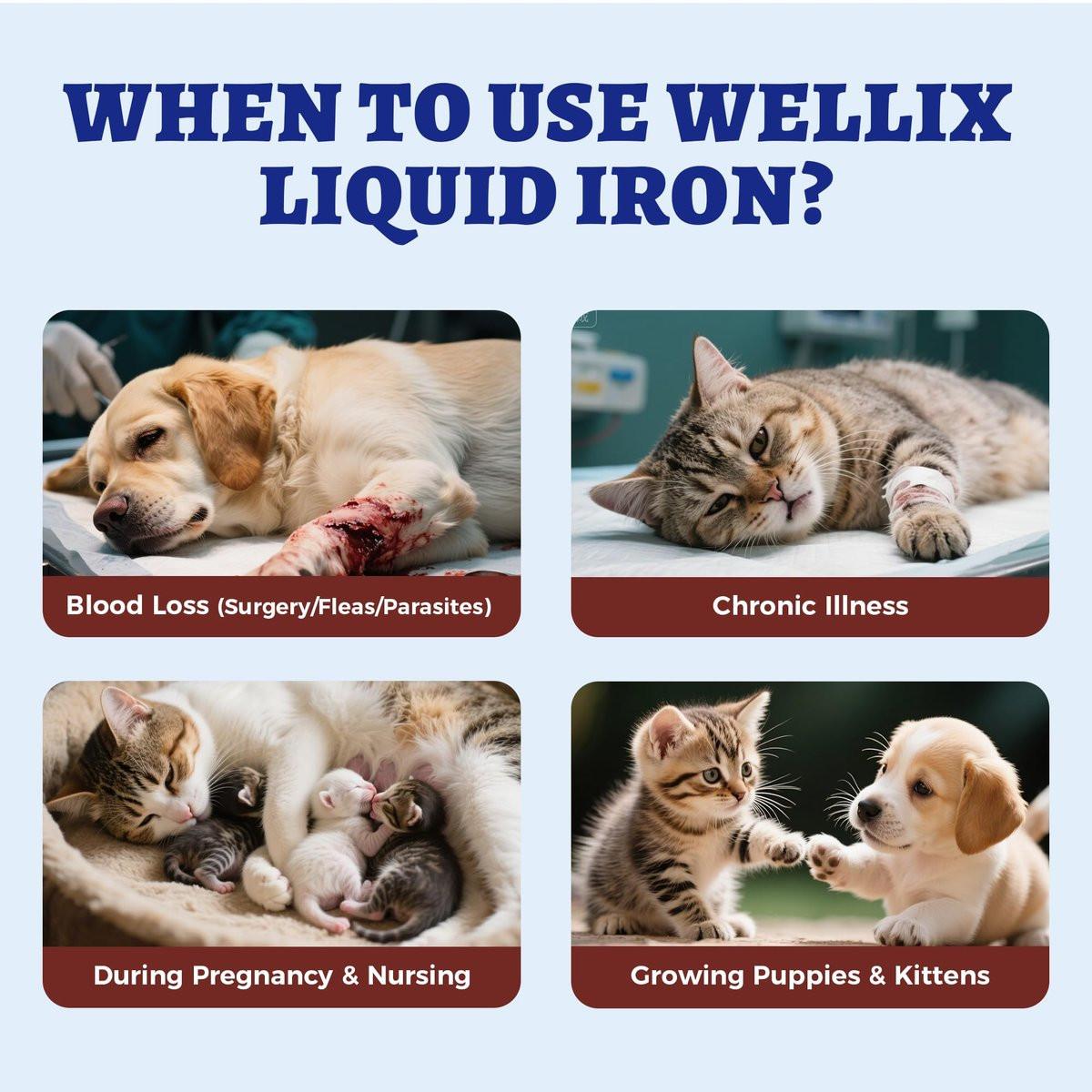 4oz Liquid Iron Supplement for Cats & Dogs - Vitamin B12 & C - Cat Anemia Supplements, Hemoglobin Support, Lethargy, Pregnant Cat & Dog Essentials, Kitten & Puppy Supplements - Large Volume - görsel 7