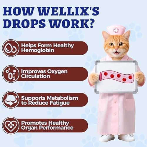 4oz Liquid Iron Supplement for Cats & Dogs - Vitamin B12 & C - Cat Anemia Supplements, Hemoglobin Support, Lethargy, Pregnant Cat & Dog Essentials, Kitten & Puppy Supplements - Large Volume - görsel 10