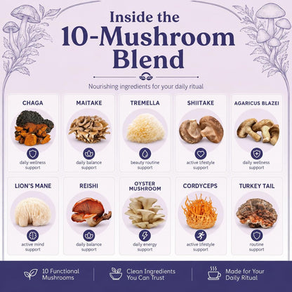 Suiyilary 10 Mushroom Hot Cocoa for Calm, Sugar Free Keto Cocoa Powder, Relax Nighttime Drink, 100mg Magnesium Glycinate, 100mg GABA, 150mg L-Theanine, 15 Servings