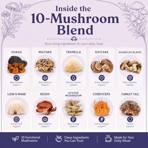 Suiyilary 10 Mushroom Hot Cocoa for Calm, Sugar Free Keto Cocoa Powder, Relax Nighttime Drink, 100mg Magnesium Glycinate, 100mg GABA, 150mg L-Theanine, 15 Servings - görsel 4