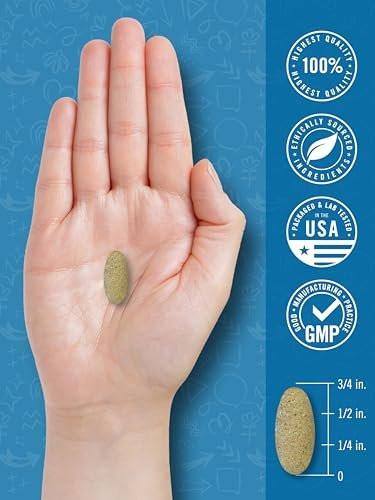 Carlyle Teen Multivitamin for Boys | 60 Caplets | Once Daily | Easy to Digest with Probiotics & Enzymes | with Iron | Non-GMO, Gluten Free