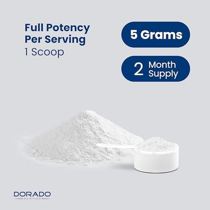Creatine Monohydrate Powder 5G | Micronized & Unflavored | 60 Servings 5000mg per Serving | Pure Creatine Supplement for Men & Women | Supports Muscle Growth, Energy & Recovery | Non-GMO & Vegan