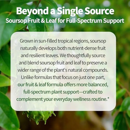 JuvaNutra (4 Fl Oz) Soursop Bitters Liquid Drops 12 in 1 with Sea Moss, Moringa, Turmeric, Echinacea & Ashwagandha Extract - Herbal Tonic for Digestive Wellness & Immune Support