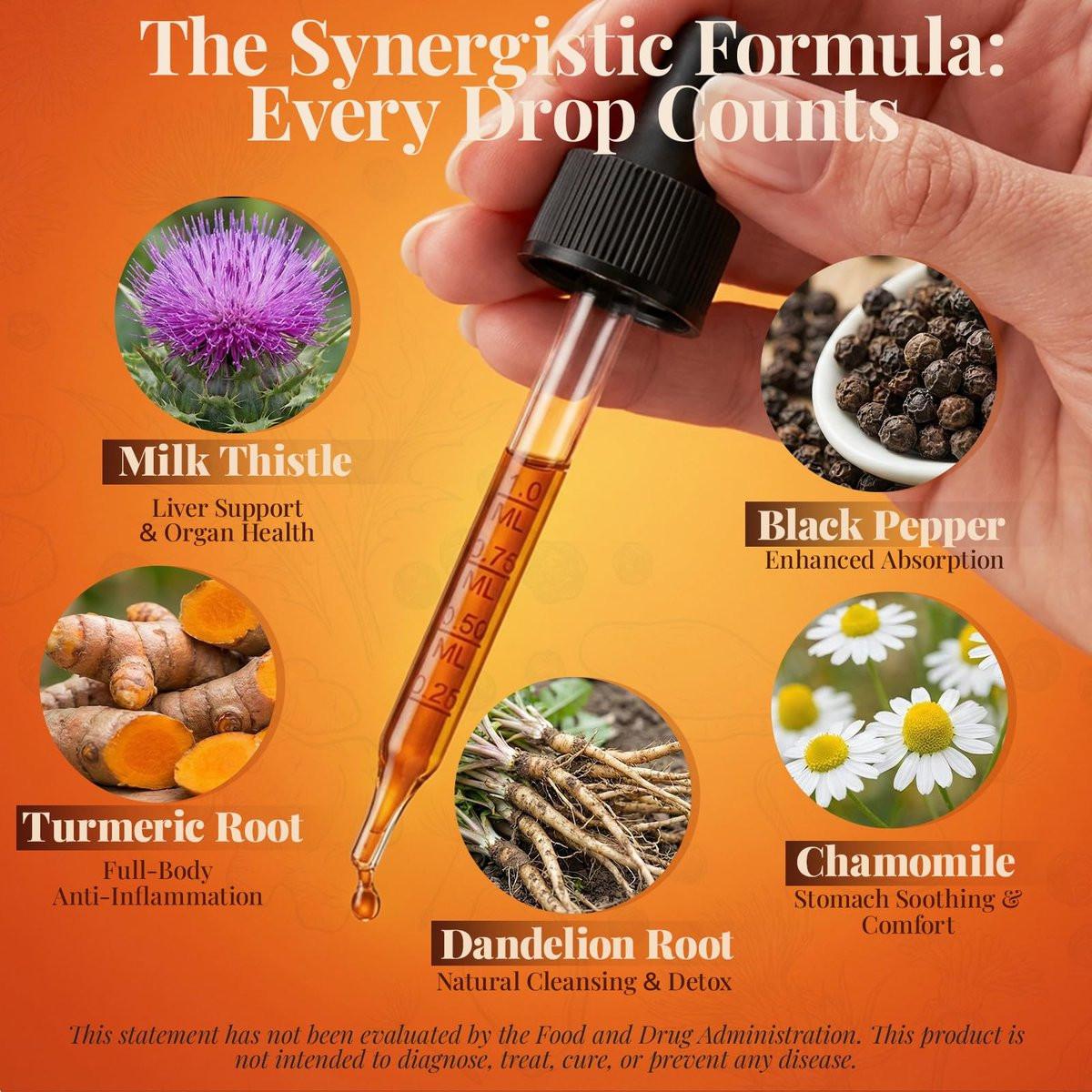 CareGem Turmeric Curcumin Complex Liquid Drops with Milk Thistle, Dandelion & Chamomile | High-Absorption Herbal Blend with Black Pepper & Ginger | Orange Flavor | 2 fl oz - görsel 5