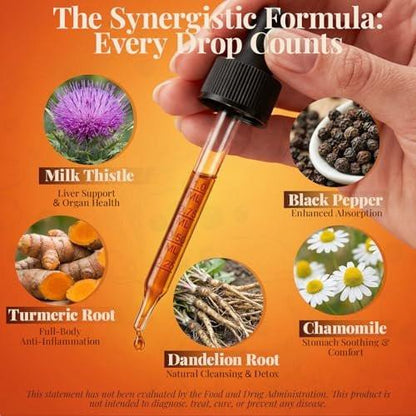 CareGem Turmeric Curcumin Complex Liquid Drops with Milk Thistle, Dandelion & Chamomile | High-Absorption Herbal Blend with Black Pepper & Ginger | Orange Flavor | 2 fl oz