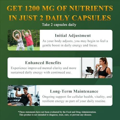 Cynthirry Liposomal NAD+ Supplement with Resveratrol, CoQ10 | Advanced Cellular Support, Nicotinamide Riboside NMN Replacement Premium Antioxidant & Energy