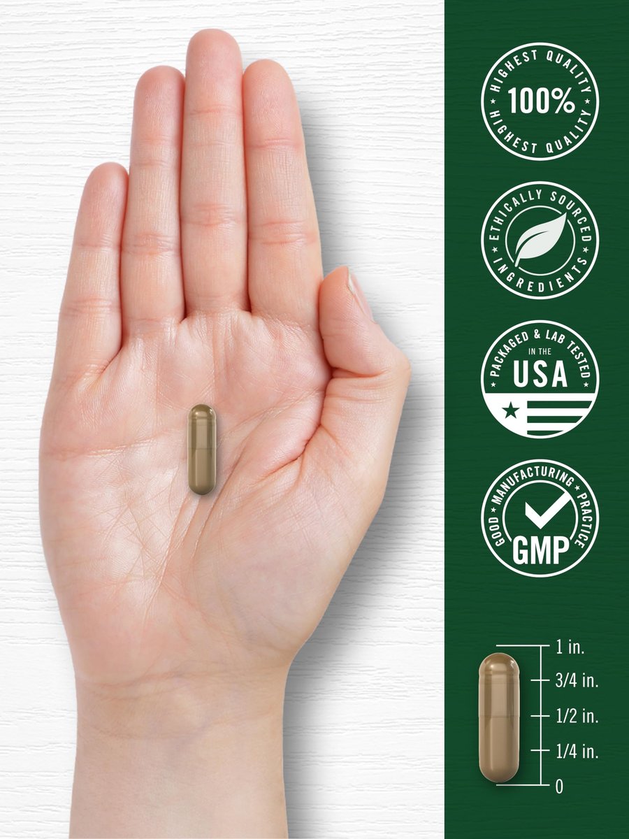 Carlyle Olive Leaf Extract Capsules | 70 Count | Non-GMO, Gluten Free | High Potency Supplement - görsel 13