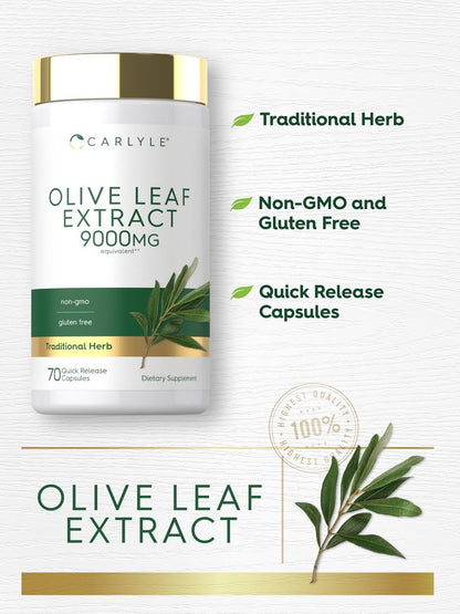 Carlyle Olive Leaf Extract Capsules | 70 Count | Non-GMO, Gluten Free | High Potency Supplement