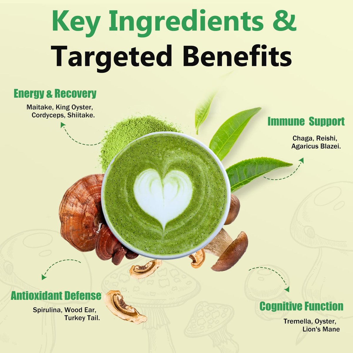 Mushroom Matcha with 12 Mushrooms with Lion's Mane, Chaga and Probiotics, Ceremonial Grade Matcha Powder for Focus, Digestion & Immunity - 30 Servings - görsel 7