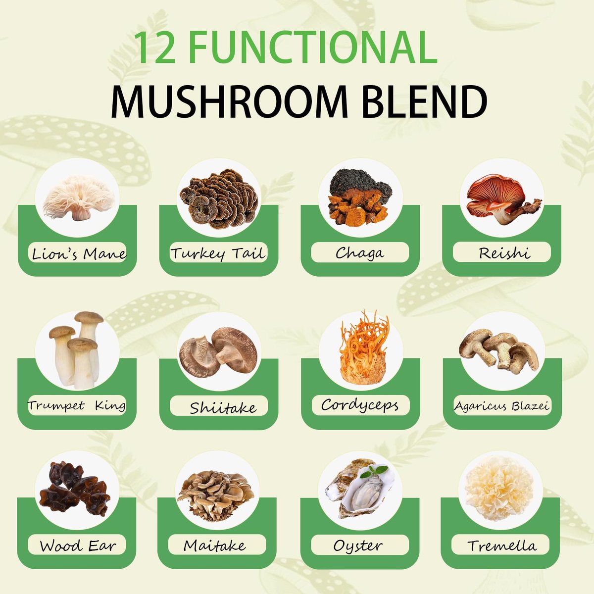 Mushroom Matcha with 12 Mushrooms with Lion's Mane, Chaga and Probiotics, Ceremonial Grade Matcha Powder for Focus, Digestion & Immunity - 30 Servings - görsel 5