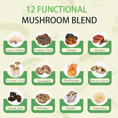 Mushroom Matcha with 12 Mushrooms with Lion's Mane, Chaga and Probiotics, Ceremonial Grade Matcha Powder for Focus, Digestion & Immunity - 30 Servings - görsel 6
