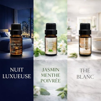 Hotel Collection Essential Oils for Diffusers for Home - 6x10ml Luxury Scented Oil Set with Luxury Night, Jasmine Peppermint, White Tea, Citrus Happiness, My Way, Hotel Lobby - Gift for Women and Men