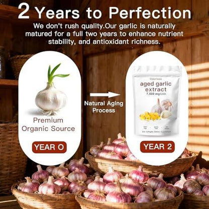 ULIKEATM Odorless Aged Garlic Extract, 7500mg Organic Garlic Capsules Supplement for Antioxidant Wellness & Immune Support, Vegetarian, Non-GMO, All-Natural – 300 Count