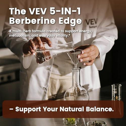 VEV Berberine Supplement with Ceylon Cinnamon for Daily Wellness Support, Vegan & Non-GMO – 2 Bottles (240 Capsules Total)