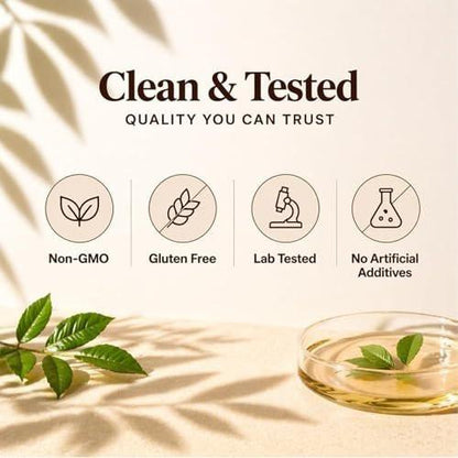 Metabolae Ceylon Cinnamon Capsules with MCT Oil, Equivalent, Non-GMO, Gluten Free, 300 Softgels (1)